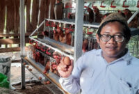 Berdayakan Ekonomi Desa, Ayam GAYATRI Bojonegoro Masuki Puncak Produksi Telur (bojonegorokab)