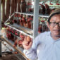 Berdayakan Ekonomi Desa, Ayam GAYATRI Bojonegoro Masuki Puncak Produksi Telur (bojonegorokab)