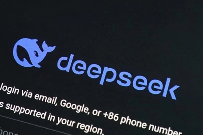 DeepSeek