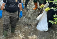 Sampah
