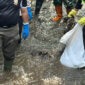 Sampah