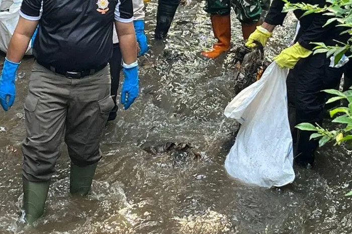 Sampah
