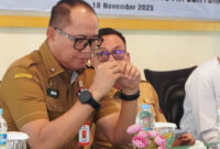 Pemkab Lampung Selatan Bangun Budaya Data, Interoperabilitas Kunci Kebijakan Presisi