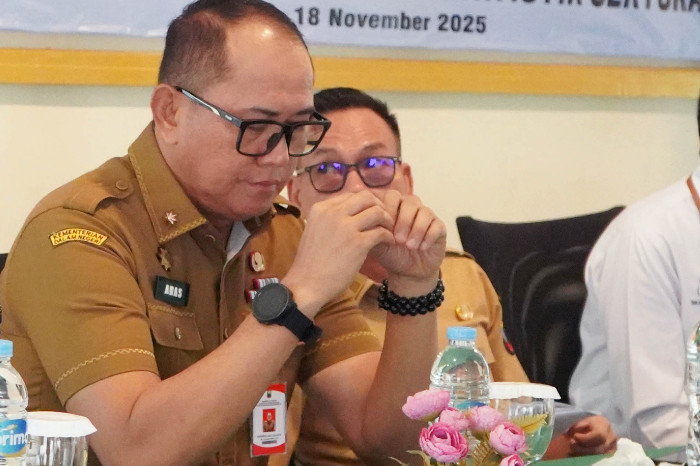 Pemkab Lampung Selatan Bangun Budaya Data, Interoperabilitas Kunci Kebijakan Presisi