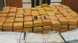 Polda Sumut Gagalkan Penyelundupan 255 Kg Ganja Asal Aceh (Humas Polri)