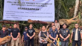 Bareskrim Periksa 27 Gelondongan Kayu Hanyut di Garoga untuk Telusuri Dugaan Aktivitas Ilegal