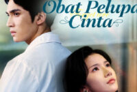Drama China Obat Pelupa Cinta