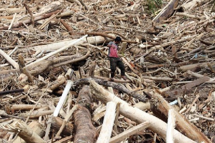Kayu yang terbawa banjir bandang di Tapanuli Selatan. Foto: ANTARA FOTO/Yudi Manar