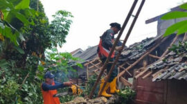 Petugas BPBD Batang memotong pohon tumbang menimpa lima rumah warga di wilayah Kecamatan Wonotunggal, Kabupaten Batang.