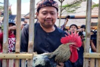 Sumedang Tuan Rumah Kontes Ayam Pelung Nasional, 400 Peserta Siap Ramaikan PPS