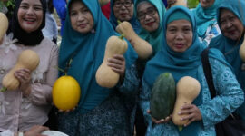 Urban Farming PKK Kebon Jeruk Dorong Ketahanan Pangan Warga Kelapa Dua