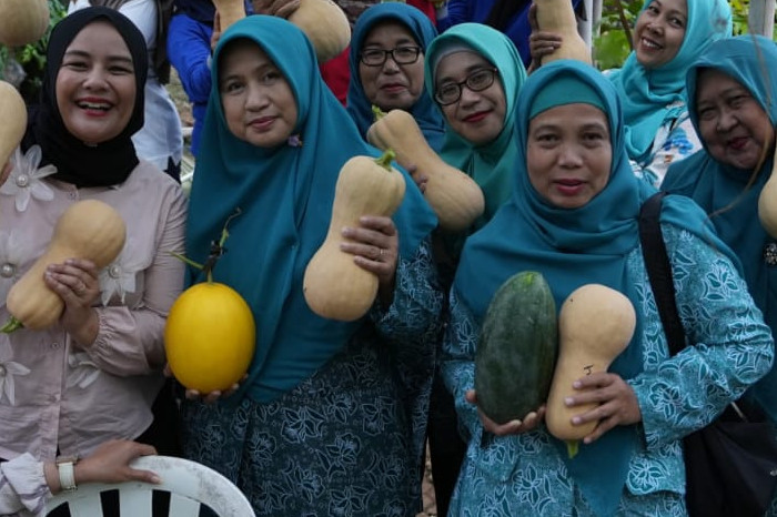 Urban Farming PKK Kebon Jeruk Dorong Ketahanan Pangan Warga Kelapa Dua