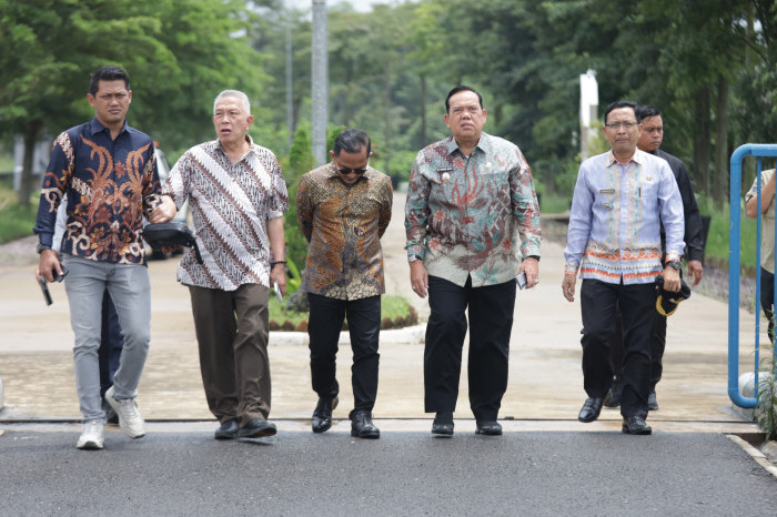 Lampung Timur Dilirik Investor Global: Fokus pada PLTS Margatiga, Dermaga, hingga Industri Olahan Singkong