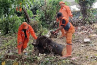 PPSU Roa Malaka Gelar Kerja Bakti di Jalan Nelayan Barat