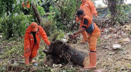 PPSU Roa Malaka Gelar Kerja Bakti di Jalan Nelayan Barat
