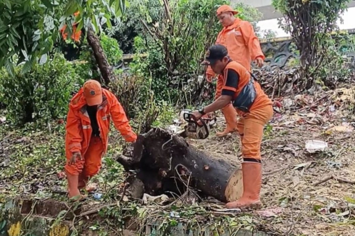 PPSU Roa Malaka Gelar Kerja Bakti di Jalan Nelayan Barat