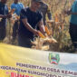 Babinsa Desa Kembangan dan Bumdesa Kembang Jaya Panen Raya Jagung