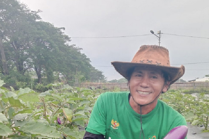 Panen Terong Teluknaga, Mustahik Bangkit lewat Lumbung BAZNAS