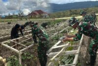 Satgas Yonif 711 Dampingi Warga Deiyai Terapkan Teknik Pertanian Modern