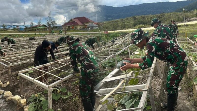 Satgas Yonif 711 Dampingi Warga Deiyai Terapkan Teknik Pertanian Modern